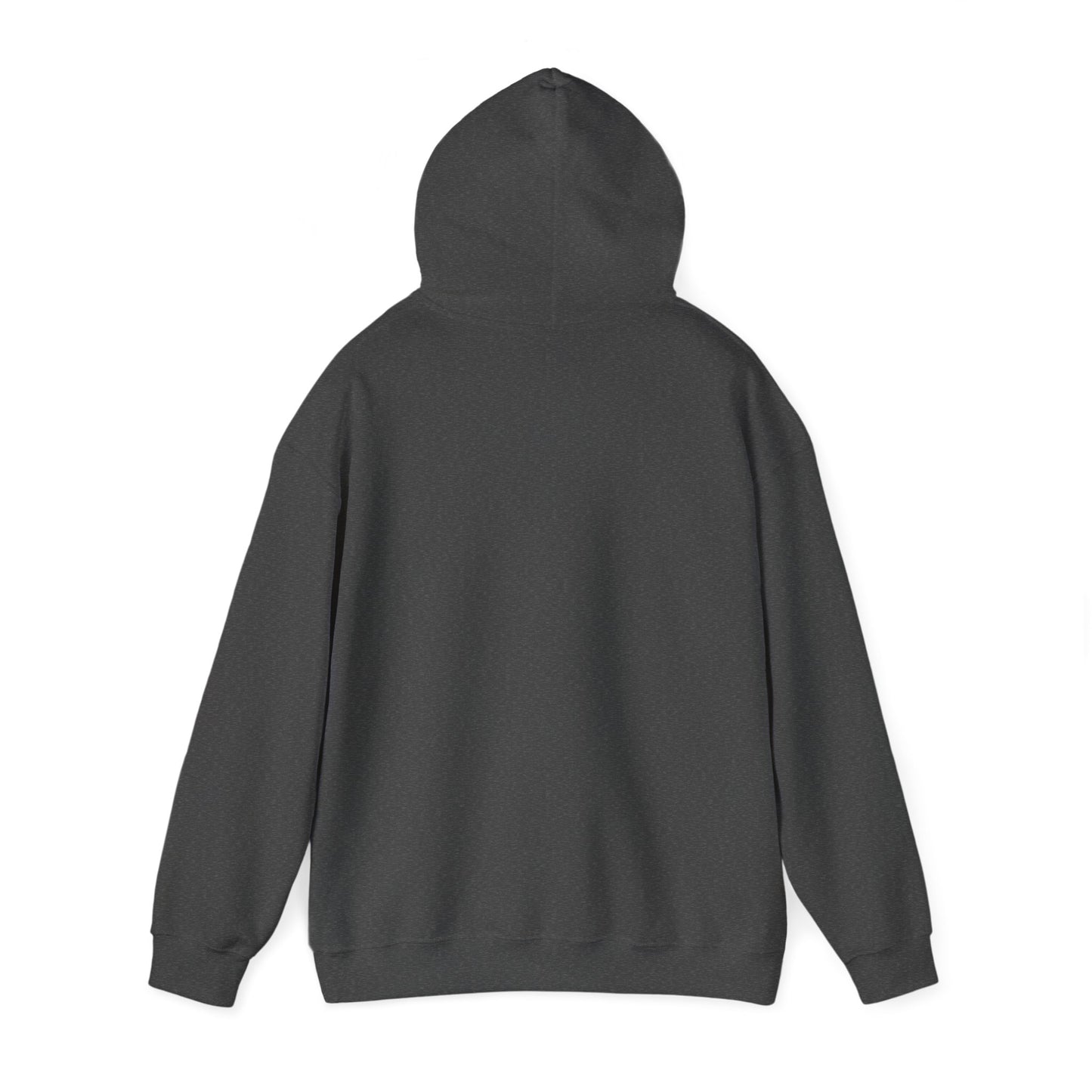 Class Of Hoodie