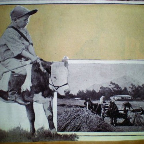 That Ghost - I Crossed Out the Options