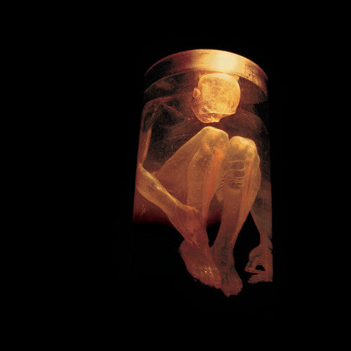 Alice in Chains - Nothing Safe: Best of
