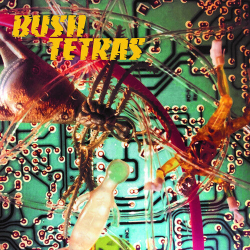 Bush Tertas - There Is A Hum / Seven Years