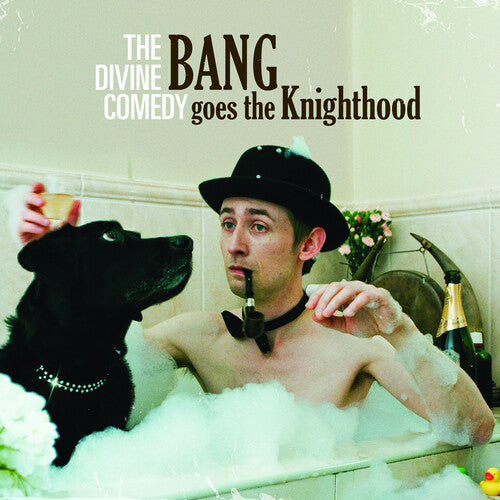 Divine Comedy - Bang Goes The Knighthood