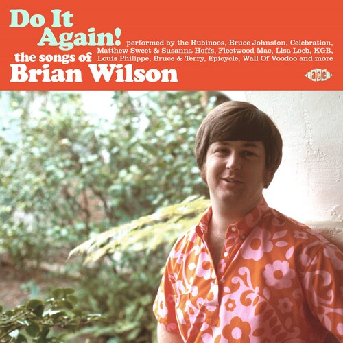 Do It Again: The Songs of Brian Wilson / Various - Do It Again! The Songs Of Brian Wilson / Various
