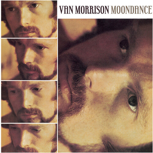 Van Morrison - Moondance