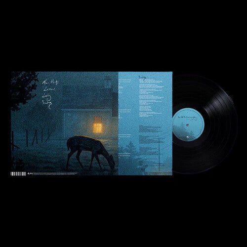 Dermot Kennedy - I've Told The Trees Everything
