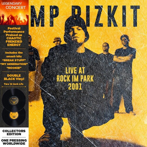 Limp Bizkit - Rock in the Park 2001