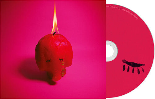 Arcade Fire - Pink Elephant