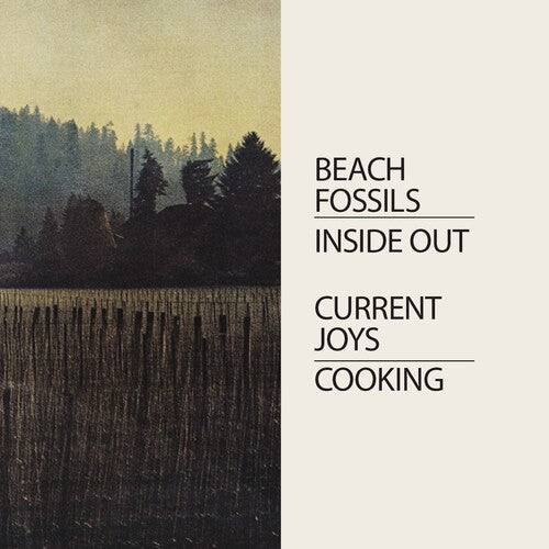 Current Joys & Beach Fossils - Cooking/Inside Out - Purple