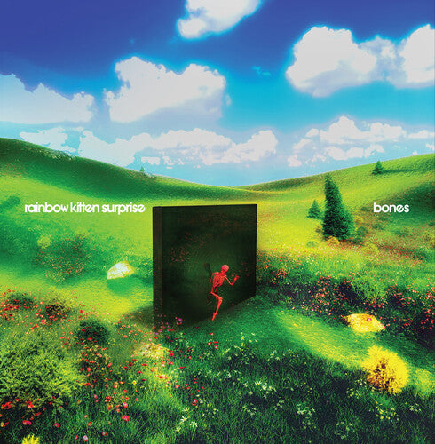 Rainbow Kitten Surprise - bones     (Black Vinyl)